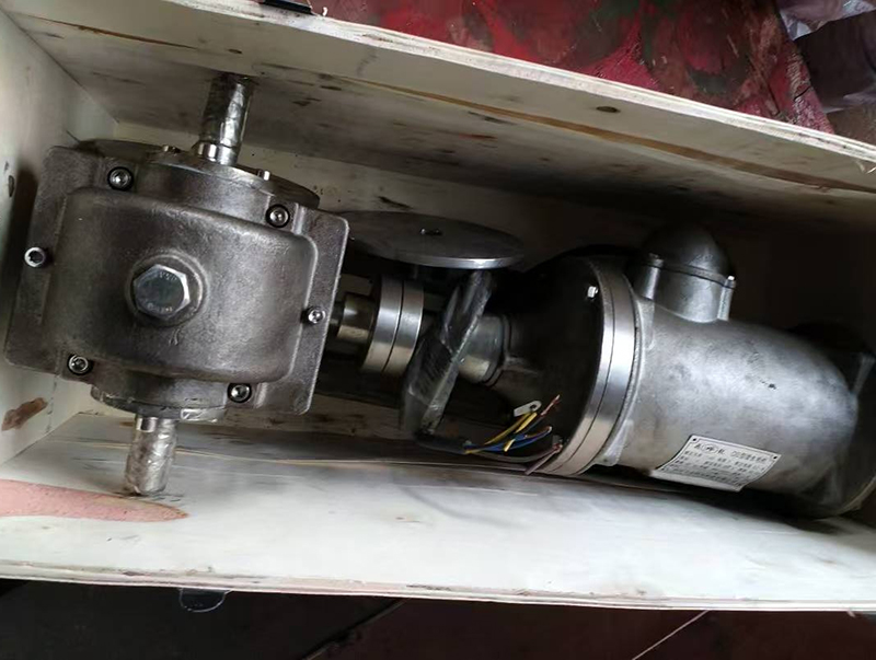 水下?lián)u擺電機(jī)